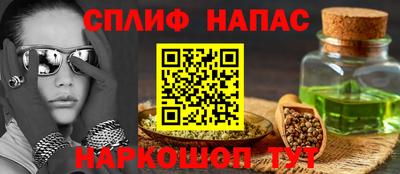 мдпв Кингисепп