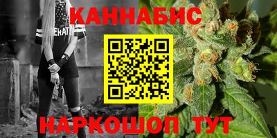 мдпв Кингисепп