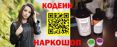 мдпв Кингисепп
