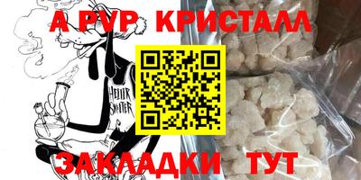 мдпв Кингисепп