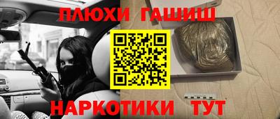 мдпв Кингисепп